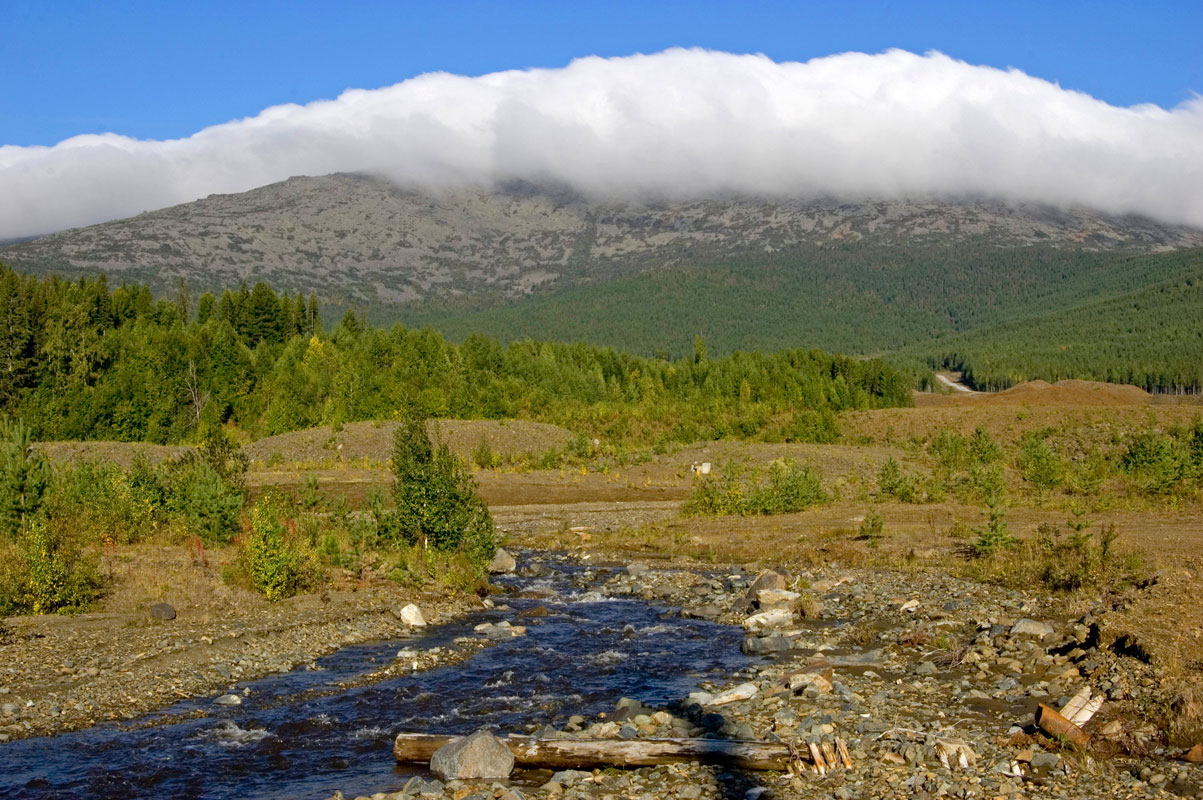 Окрестности поселка Кытлым, image of landscape/habitat.