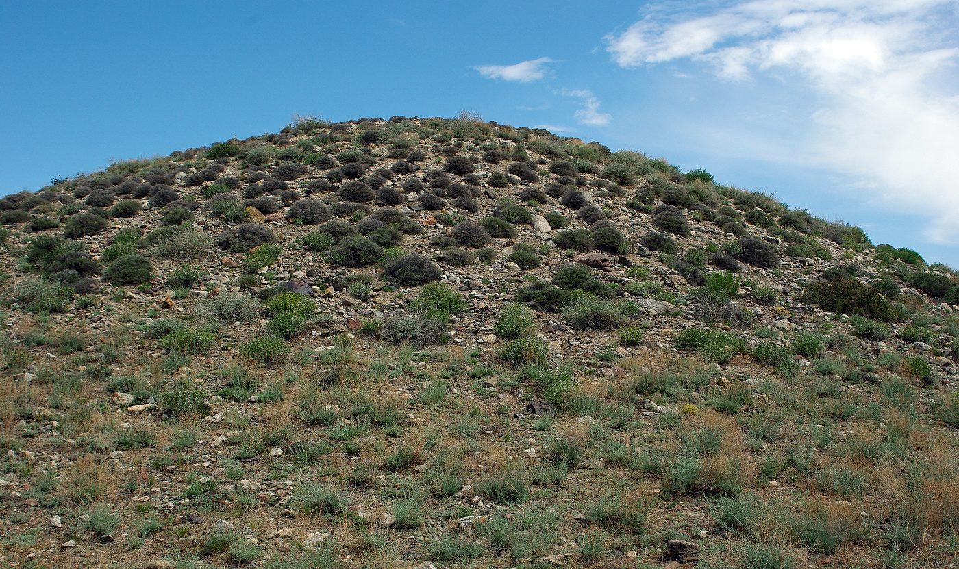 Согети, изображение ландшафта.