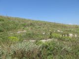 Image of landscape