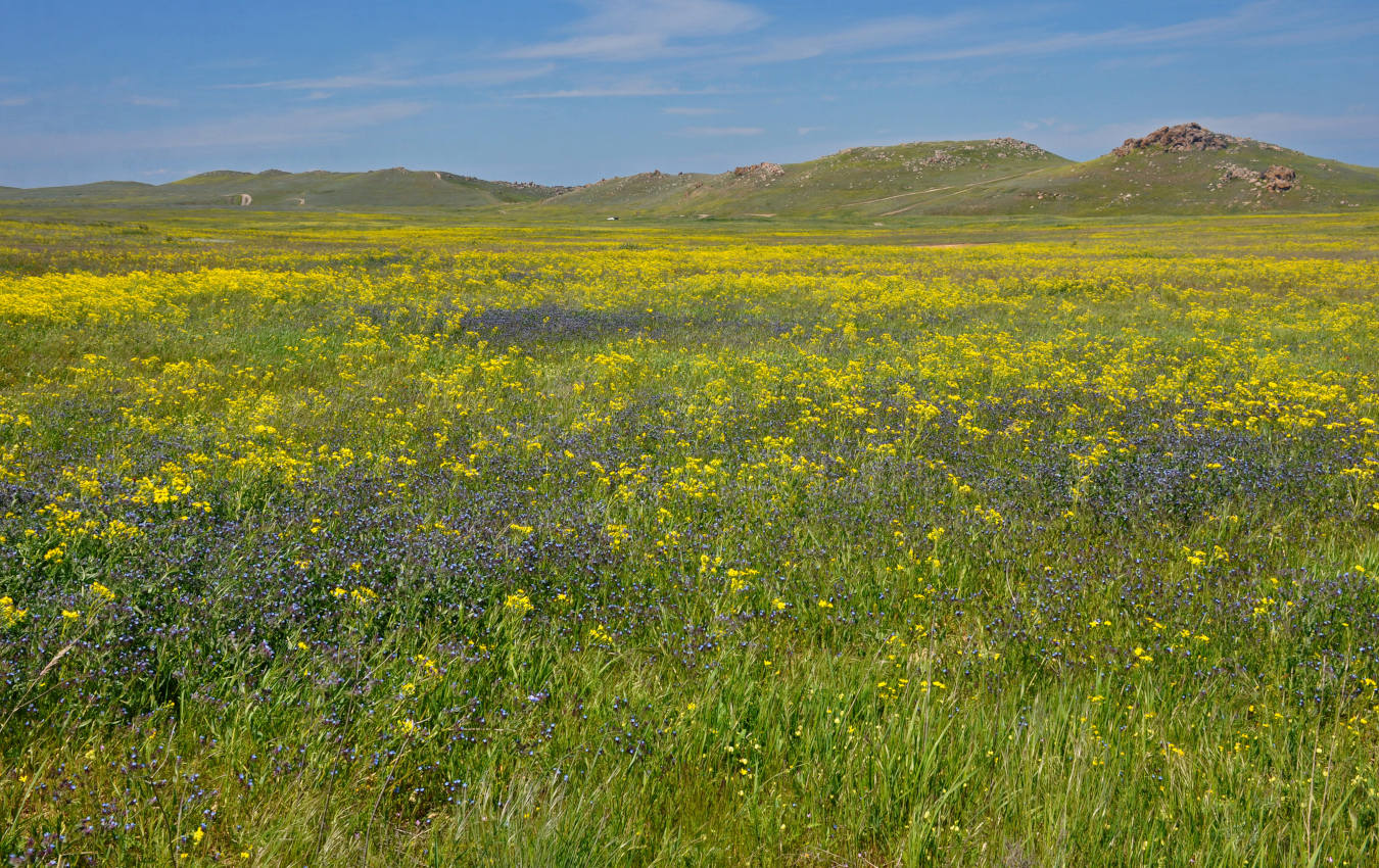 Бухта Шелковица и окрестности, image of landscape/habitat.