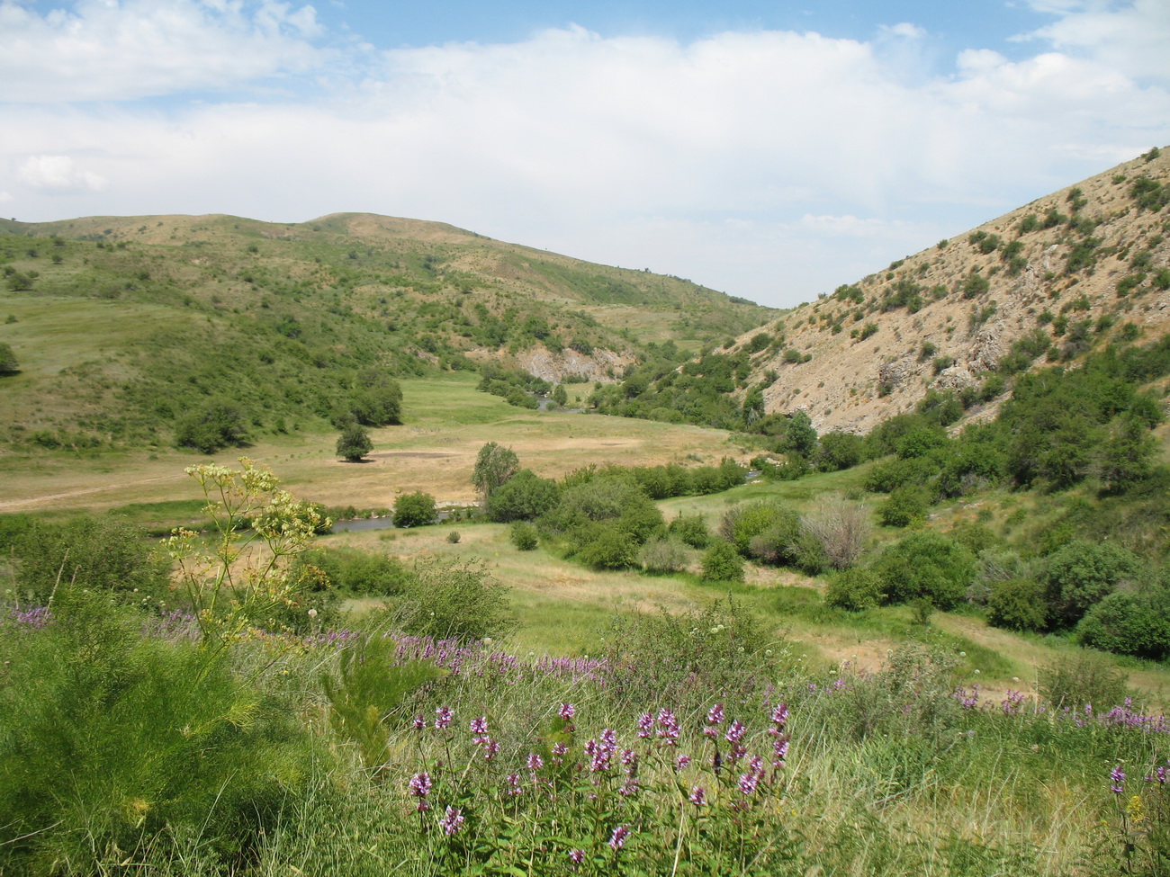 Уркумбайсай, изображение ландшафта.