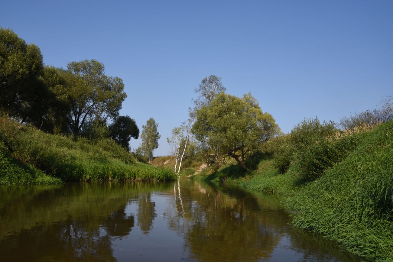 Красногорьевский мост, изображение ландшафта.