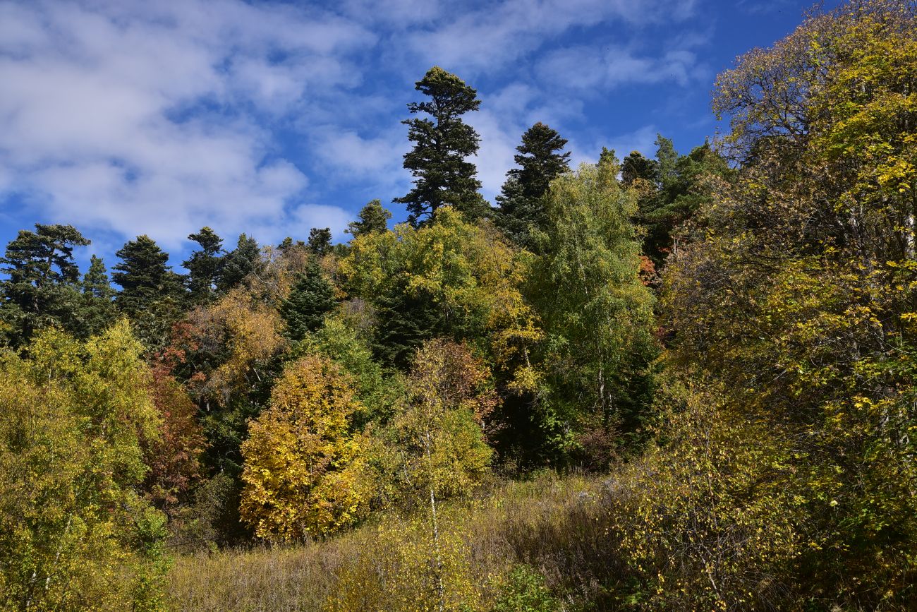 Каменное Море, image of landscape/habitat.