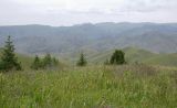 Image of landscape