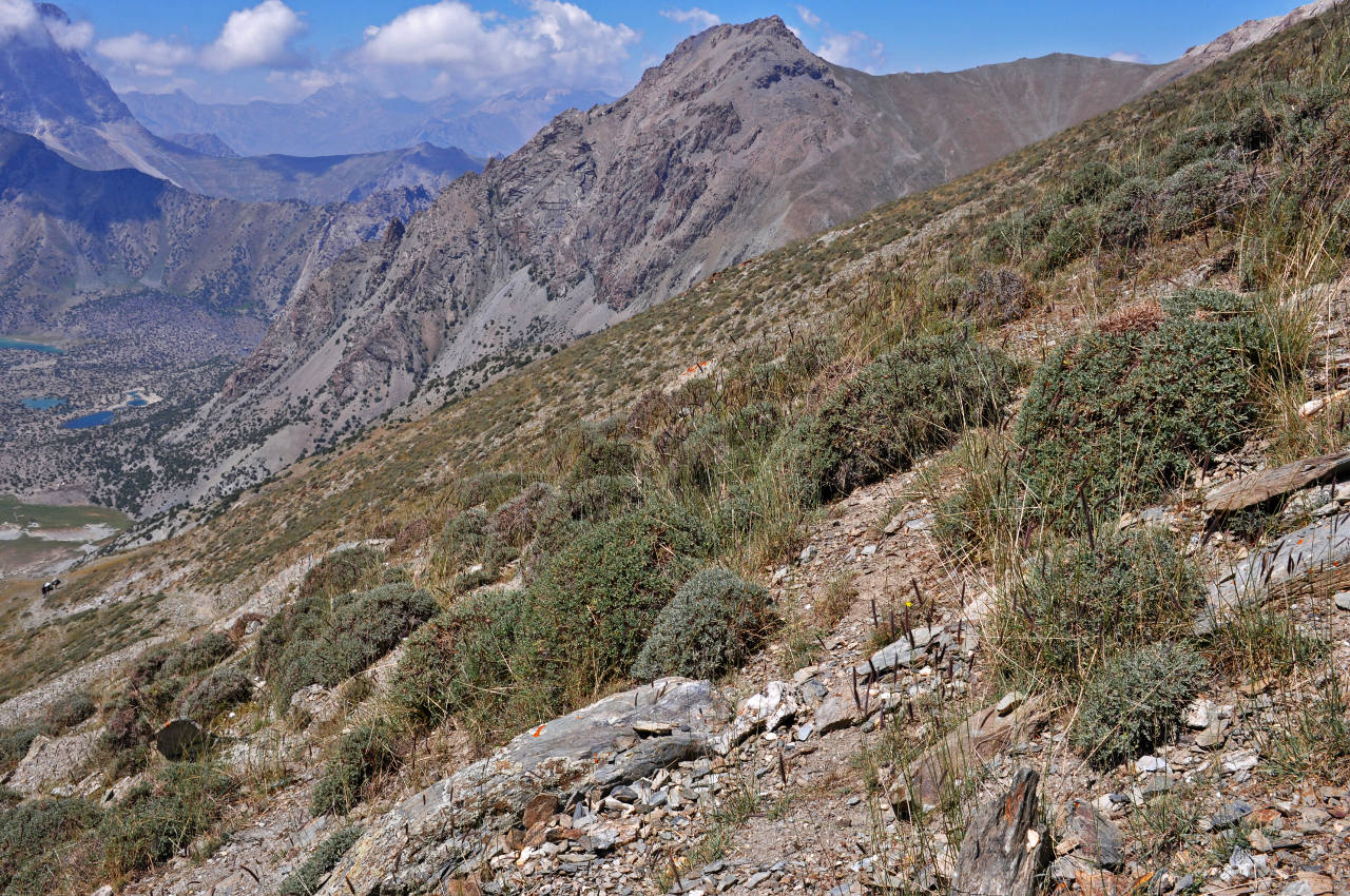 Перевал Лаудан, image of landscape/habitat.