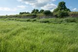 Image of landscape