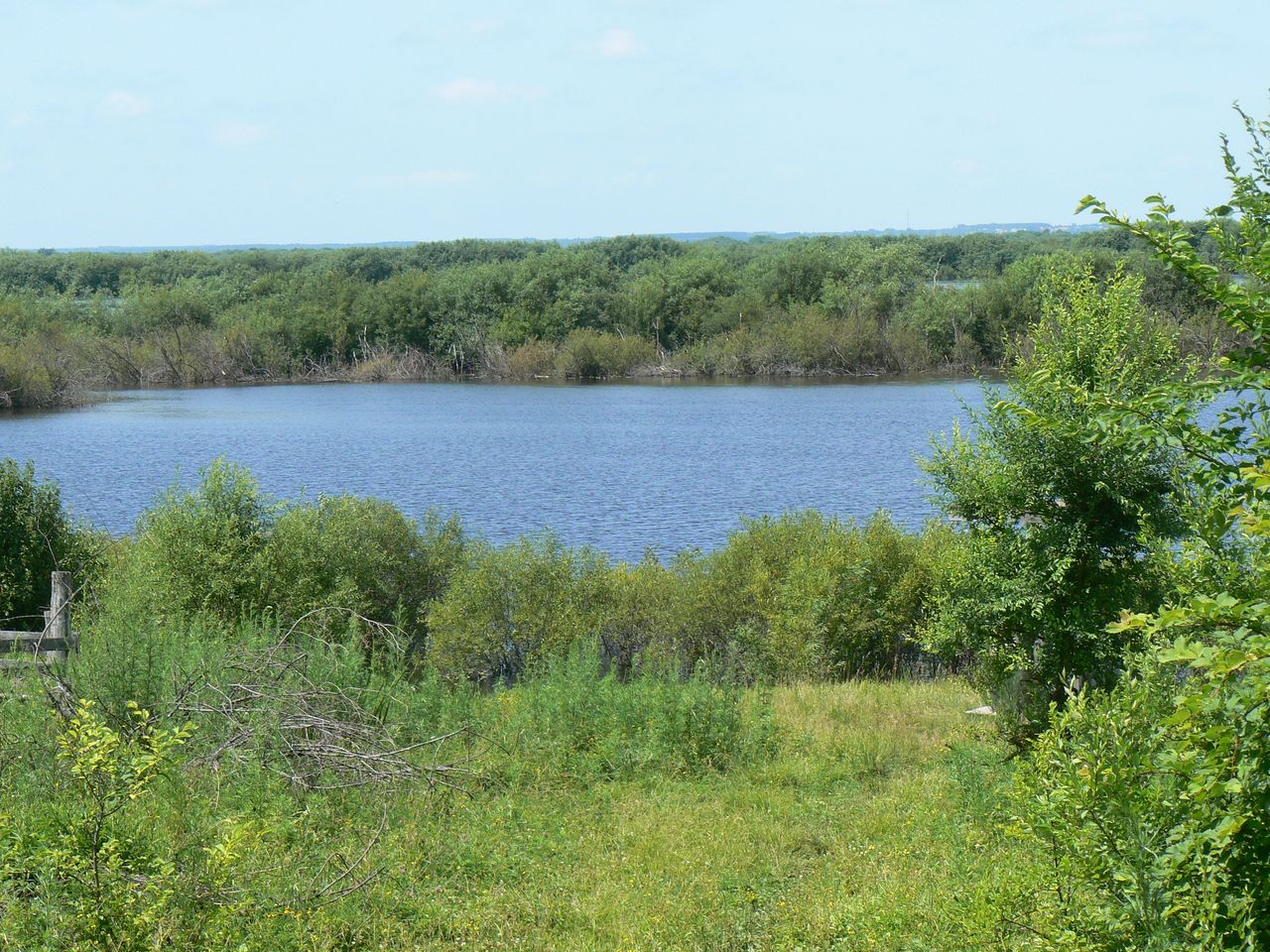 Невельское, image of landscape/habitat.