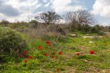 Мареша, image of landscape/habitat.