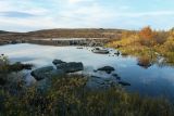 Тундра у Печенгской дороги, изображение ландшафта.