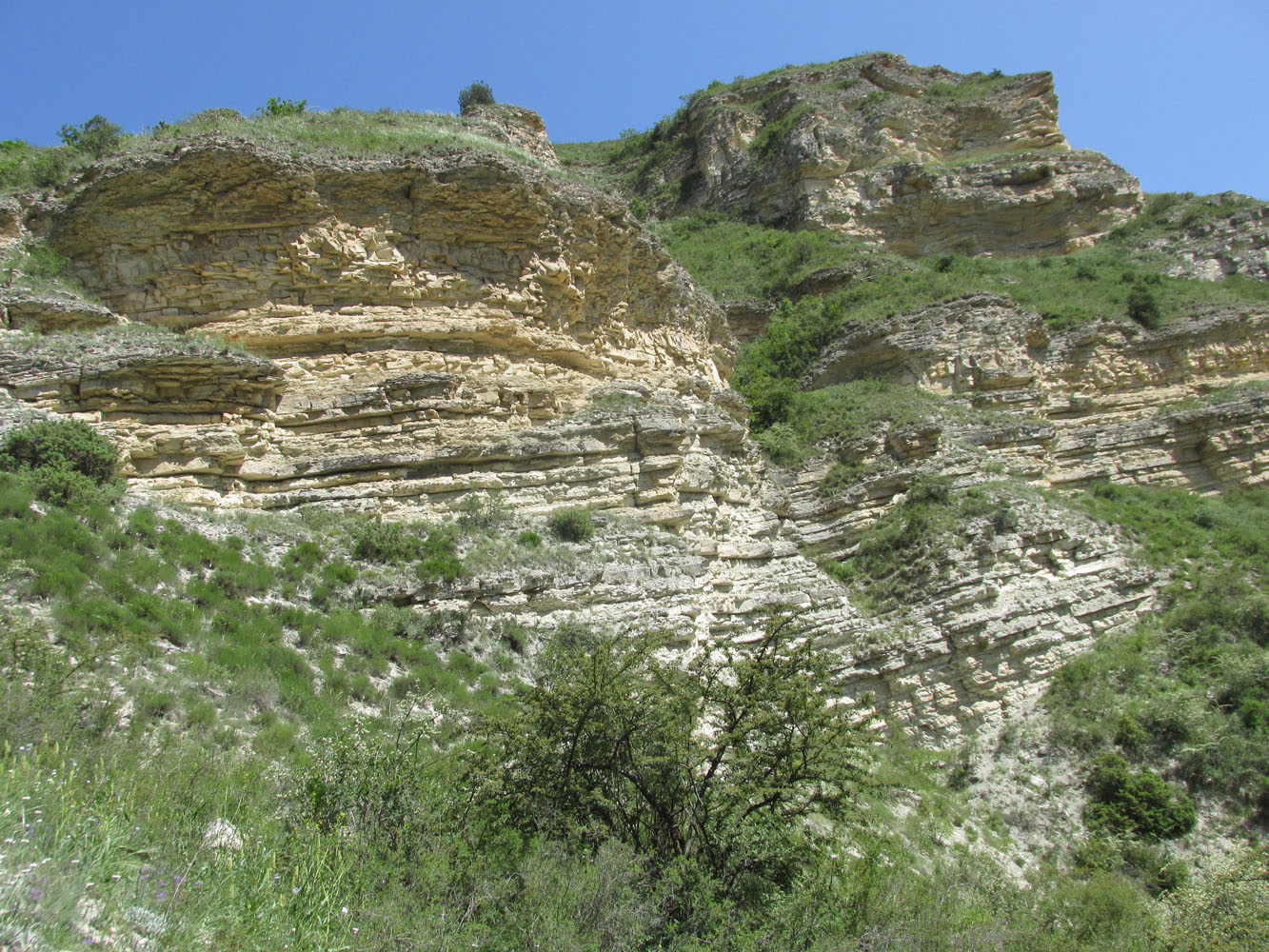 Долина реки Пулеувла, image of landscape/habitat.