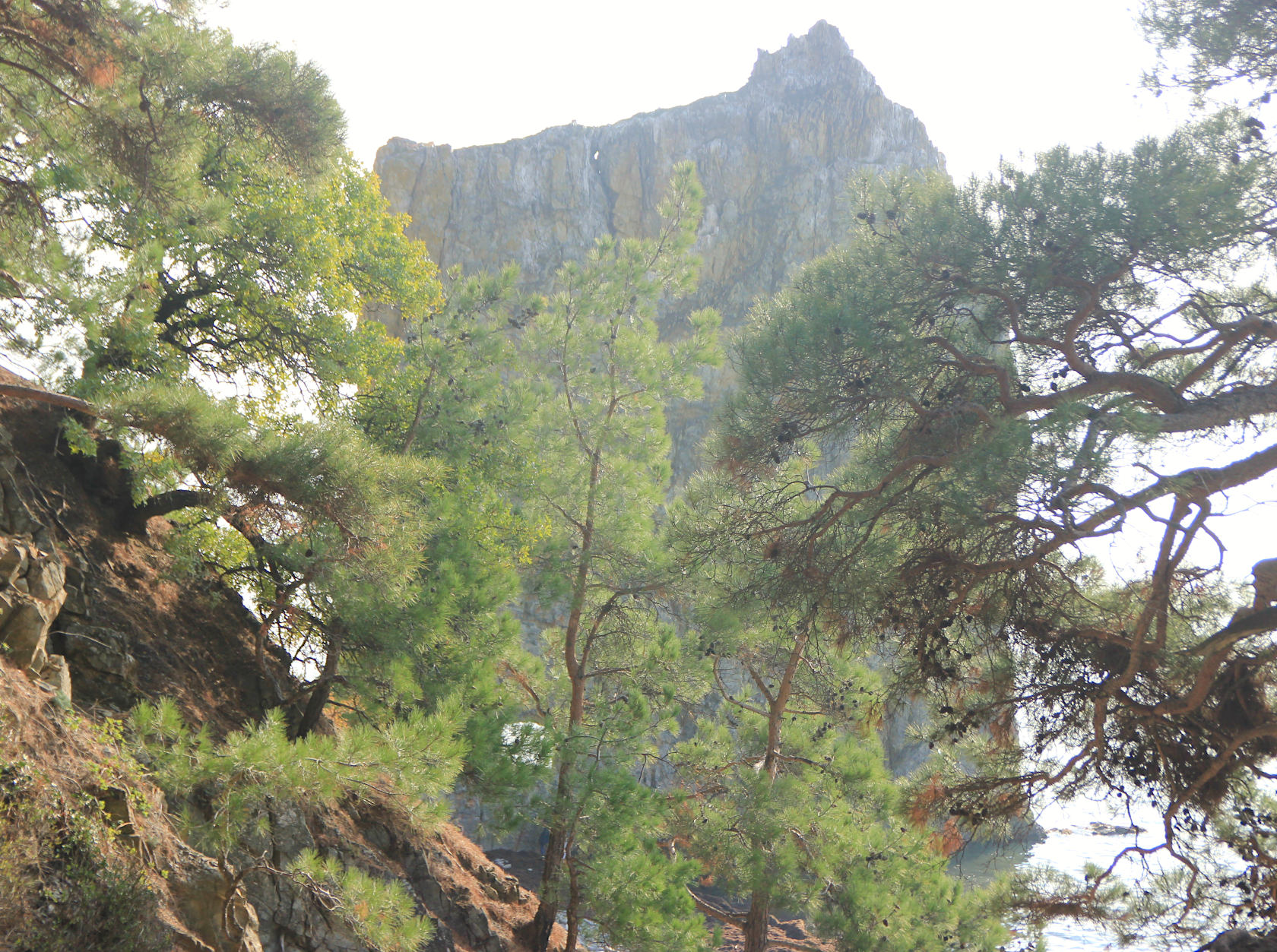 Побережье Джанхот-Прасковеевка, image of landscape/habitat.