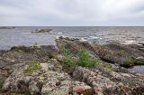 Остров Сюскюянсаари, image of landscape/habitat.