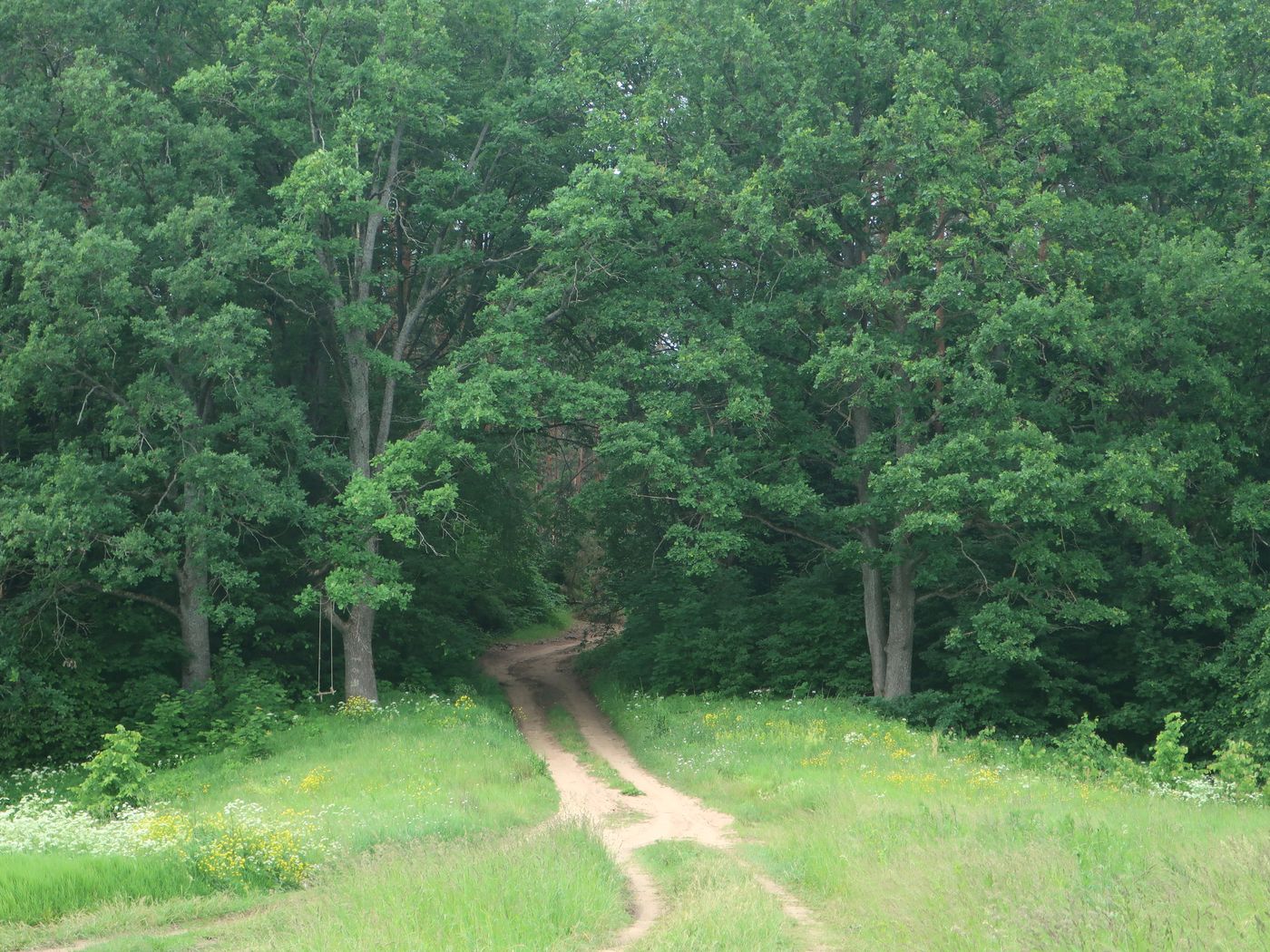 Дуденёвский заказник и р. Тьма, image of landscape/habitat.