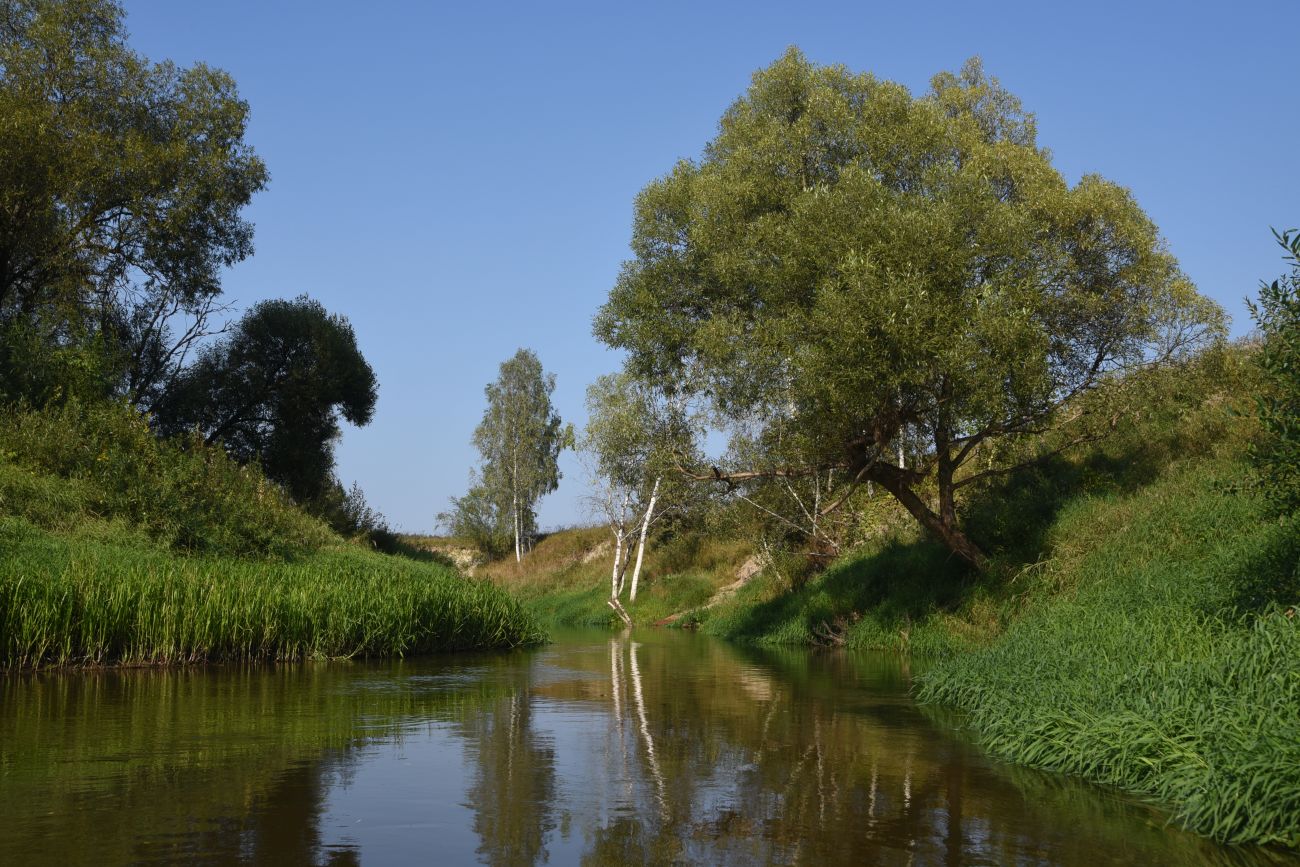 Красногорьевский мост, image of landscape/habitat.