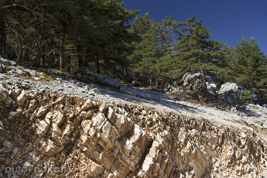 Национальный парк "Энос", image of landscape/habitat.