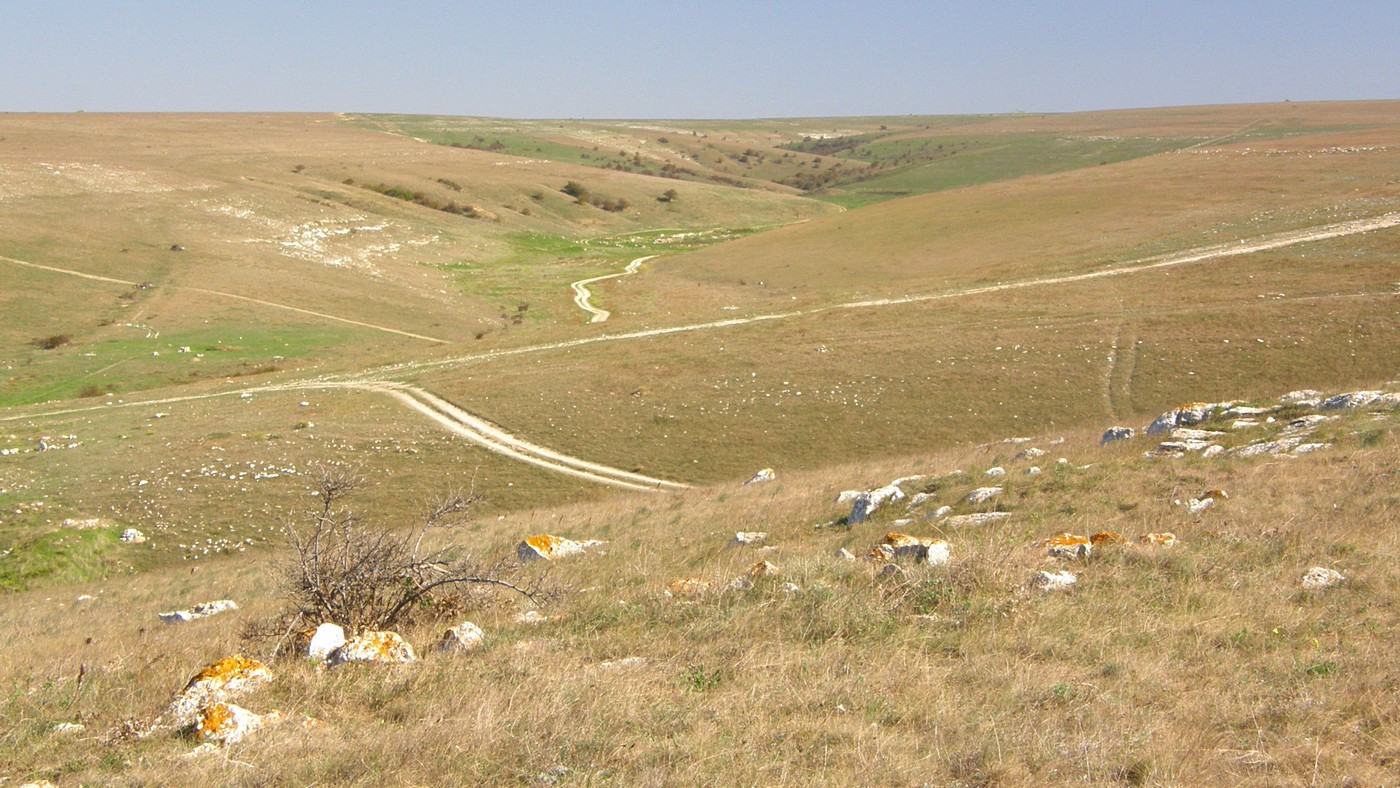 Большой Кастель, image of landscape/habitat.