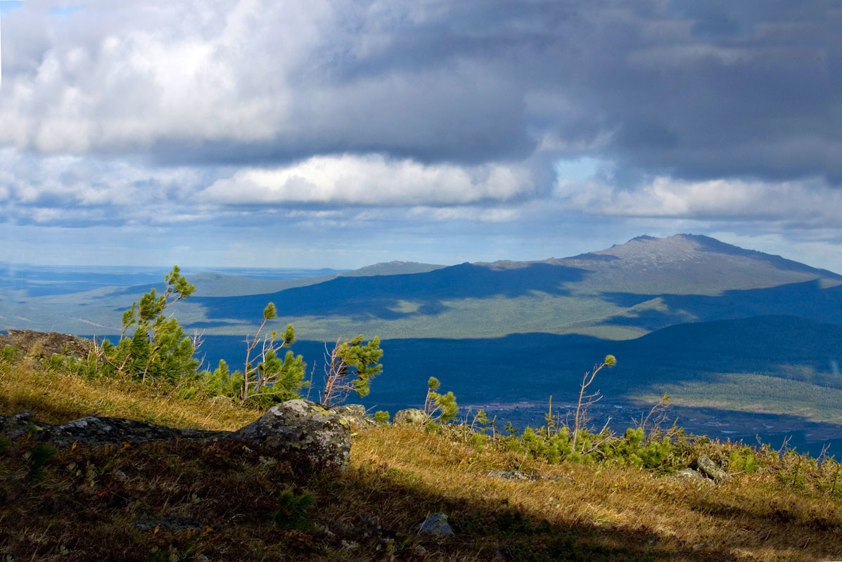 Окрестности поселка Кытлым, image of landscape/habitat.