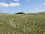 Image of landscape