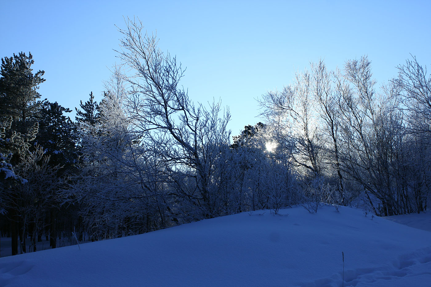 Ягры, image of landscape/habitat.