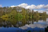 Железнодорожный, image of landscape/habitat.