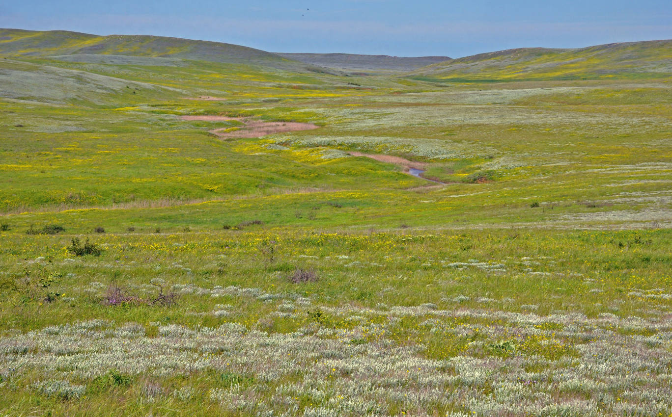 Бухта Шелковица и окрестности, image of landscape/habitat.