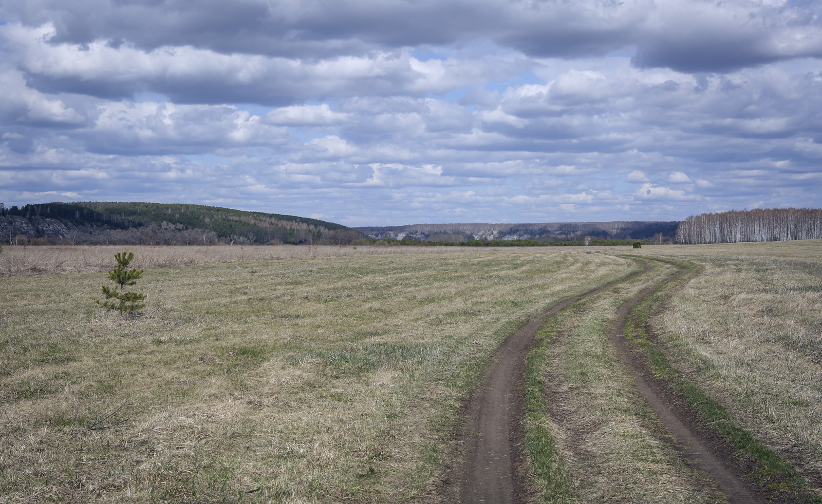 Спасская гора и её окрестности, image of landscape/habitat.
