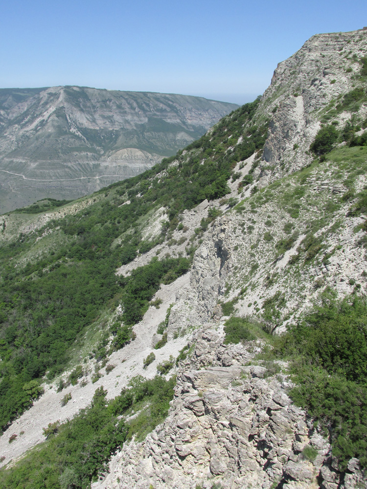 Сулакский каньон, image of landscape/habitat.