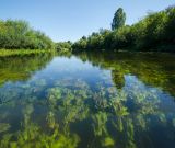 Окрестности деревни Карнаухово, image of landscape/habitat.