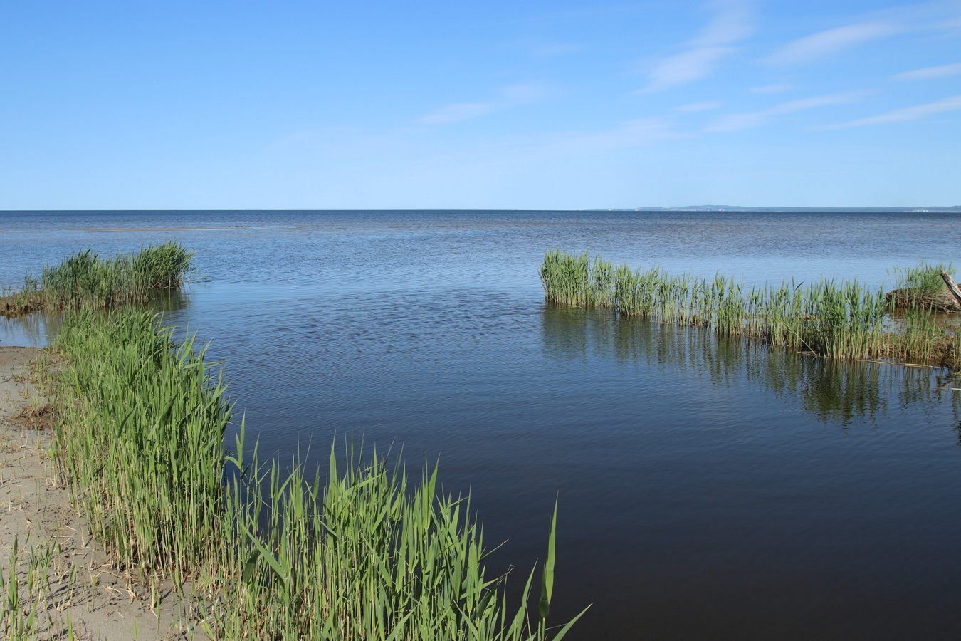 Окрестности деревни Выбье, image of landscape/habitat.