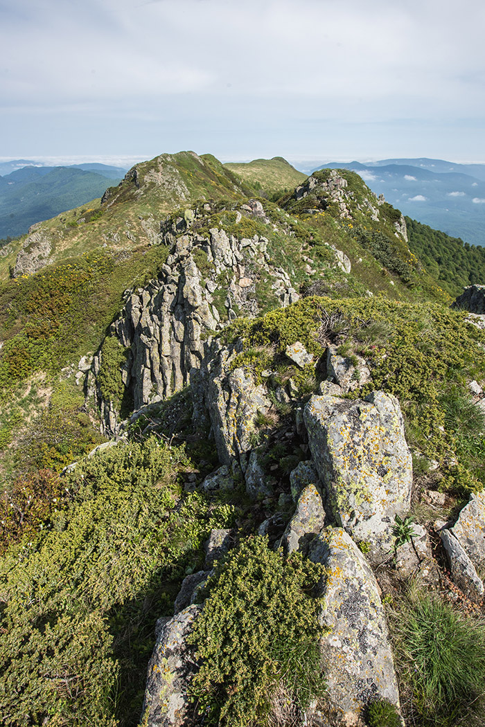 Массив горы Семиглавая, image of landscape/habitat.