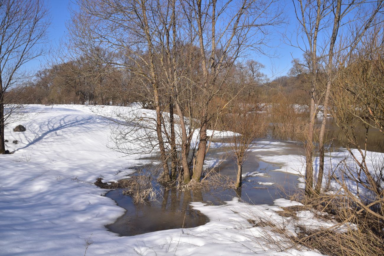 Окрестности деревни Сатино, image of landscape/habitat.
