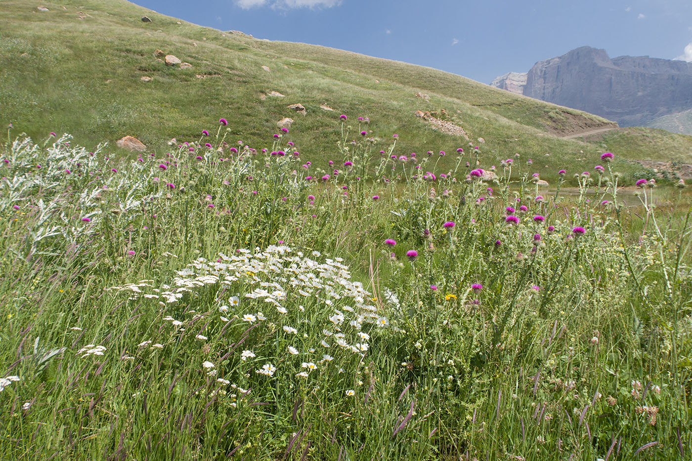 Озерко в окр. Куруша, image of landscape/habitat.