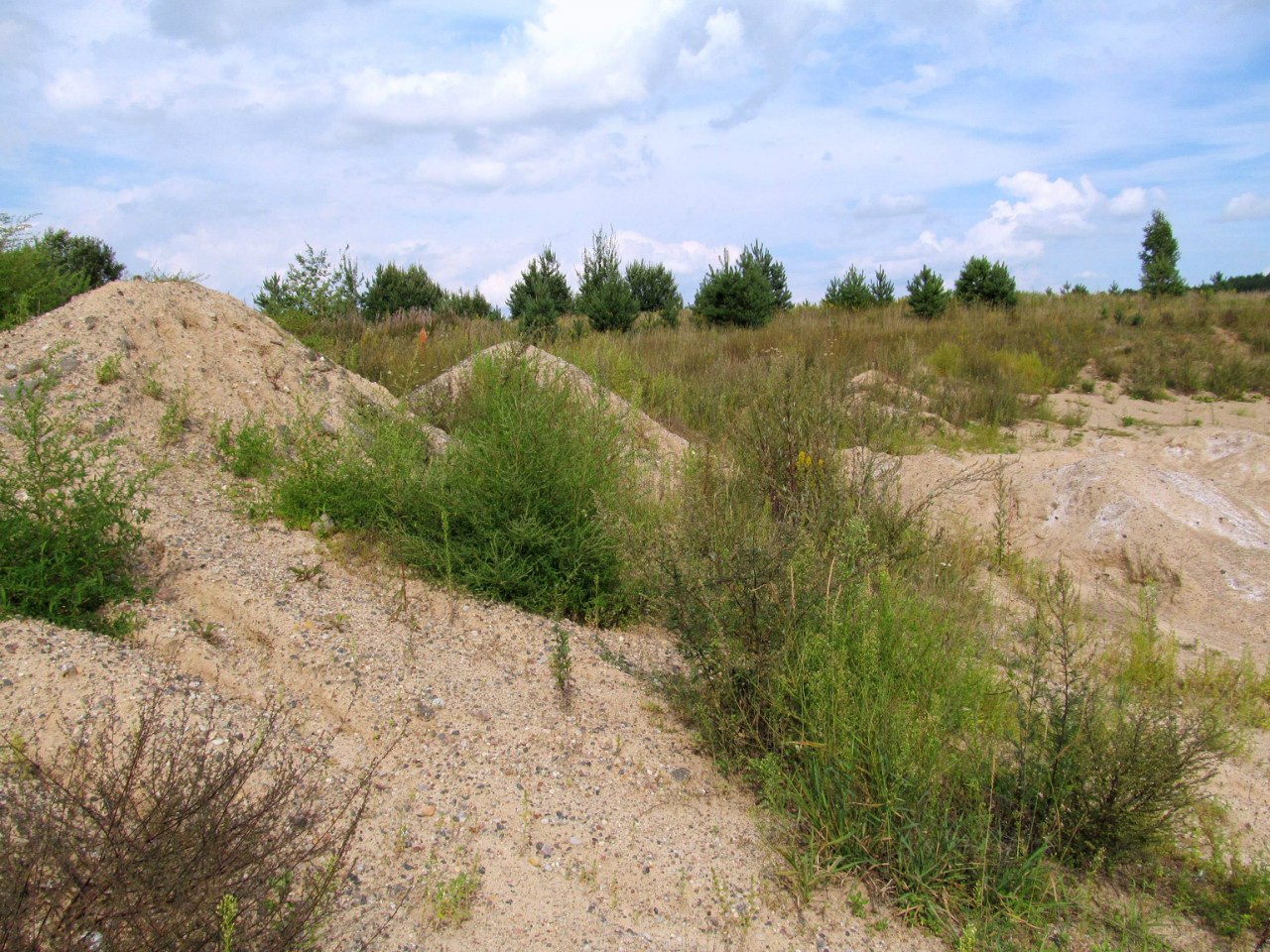 Песчаный карьер "Рутковское", изображение ландшафта.