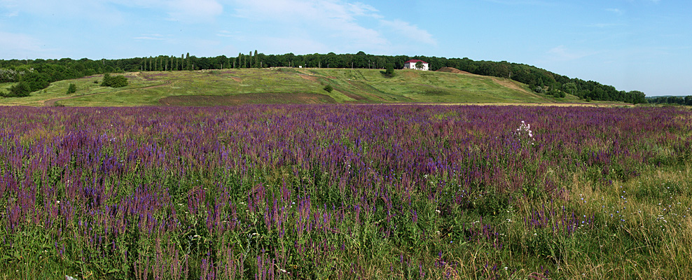 Чернышова гора, image of landscape/habitat.