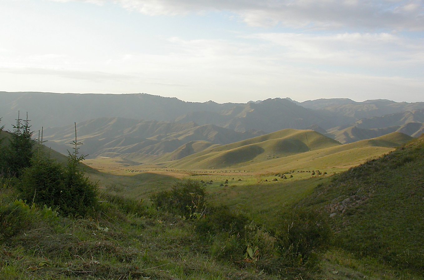 Туюк, image of landscape/habitat.