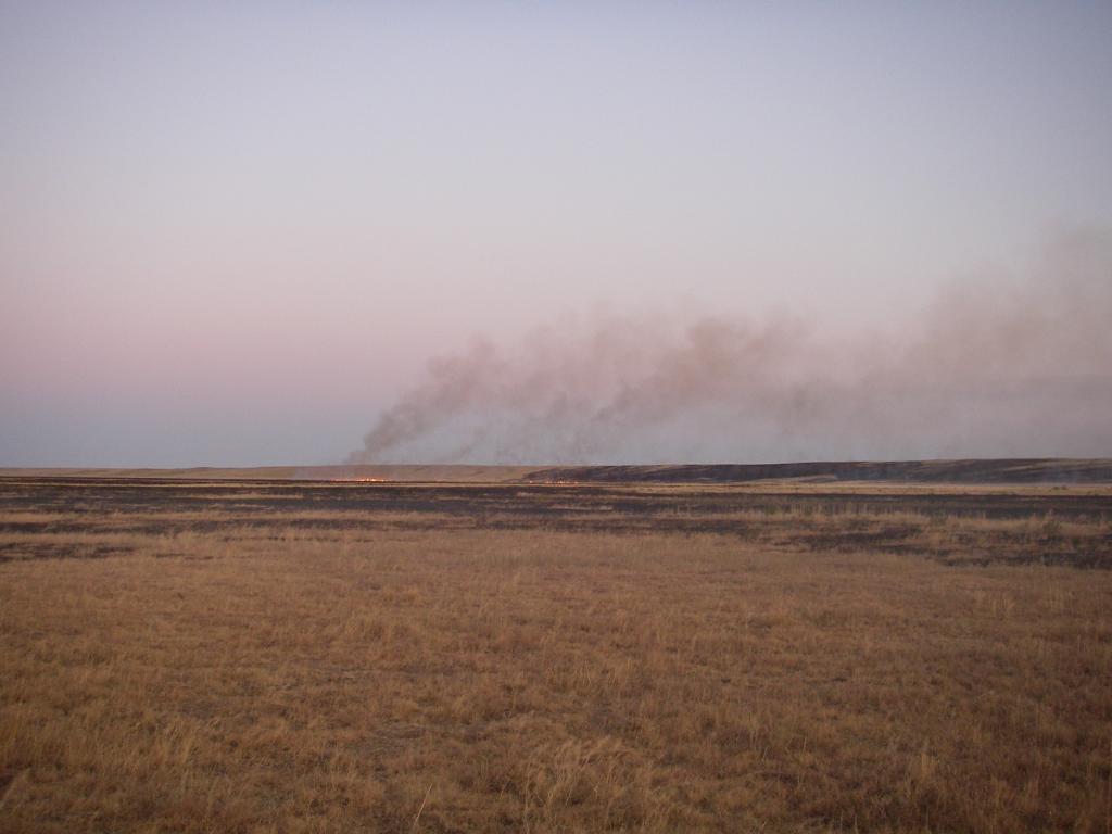 Зимовка Таскора, image of landscape/habitat.