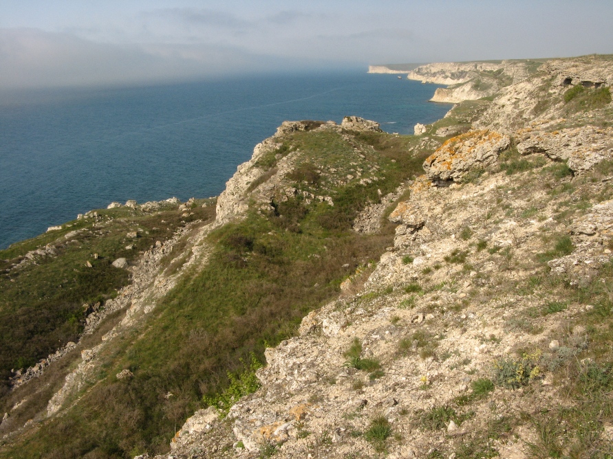 Тарханкут, image of landscape/habitat.