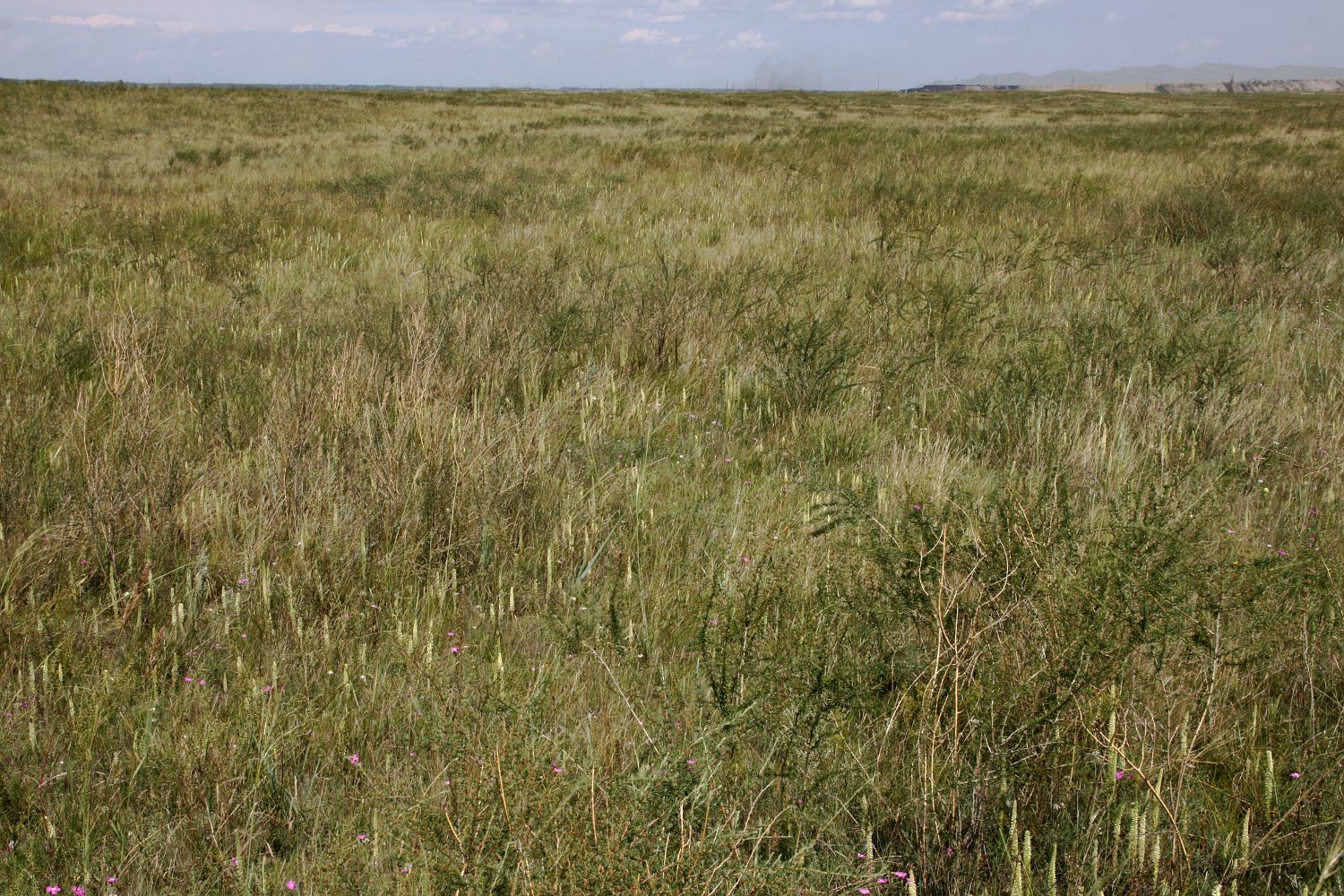 Окрестности Аршаново, image of landscape/habitat.