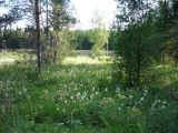 Image of landscape