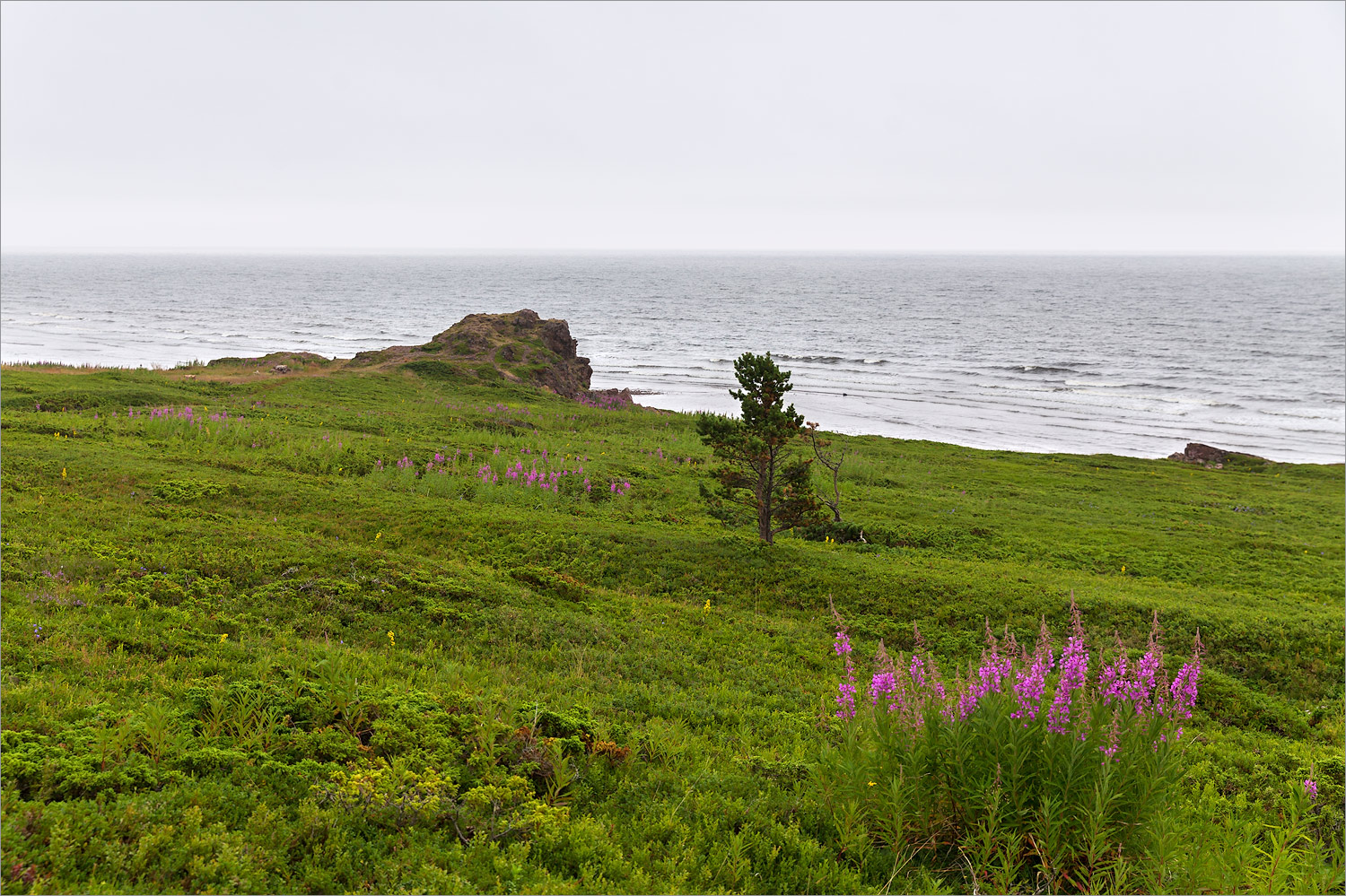 Аметистовый берег, изображение ландшафта.