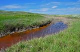 Бухта Шелковица и окрестности, image of landscape/habitat.