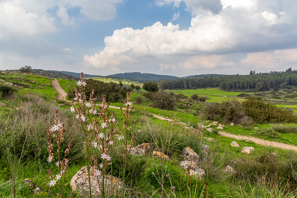 Мареша, image of landscape/habitat.