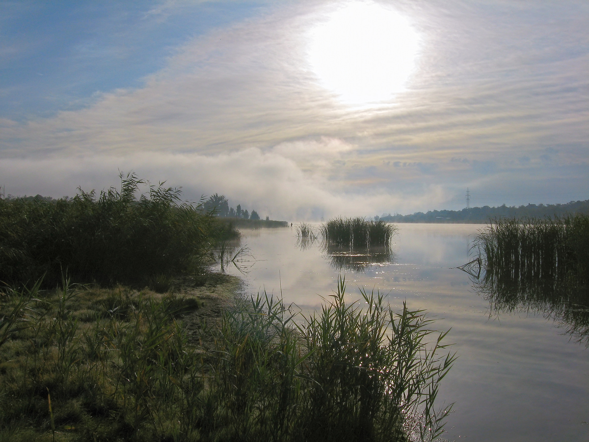 Донецкое море и окрестности, image of landscape/habitat.