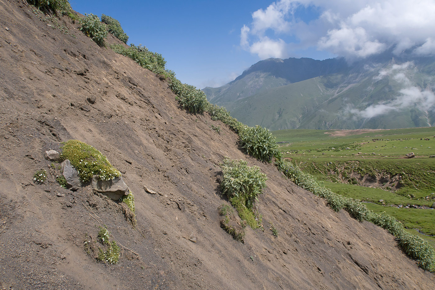 Урочище Хогес, image of landscape/habitat.