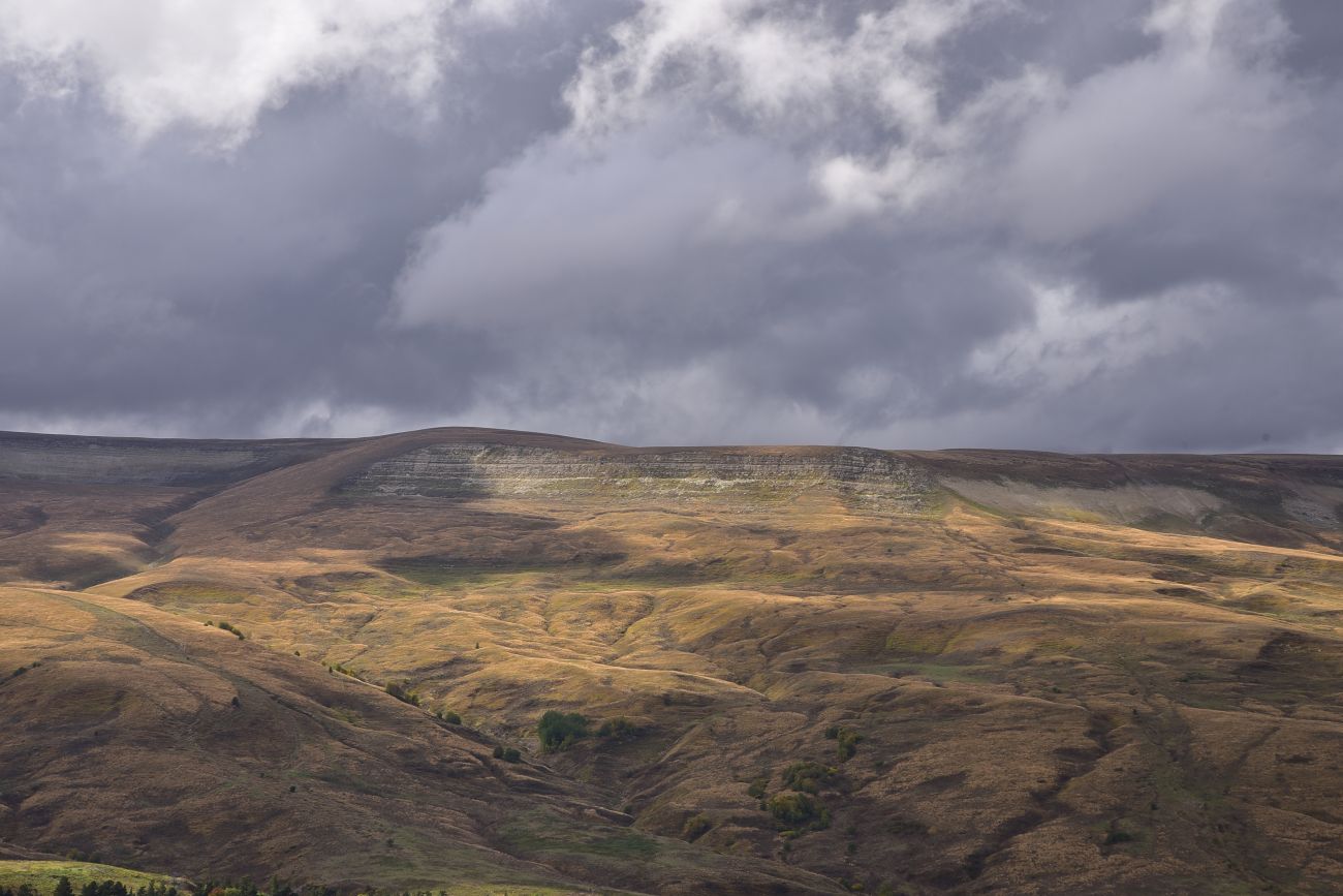 Окрестности ручья Молочка, image of landscape/habitat.