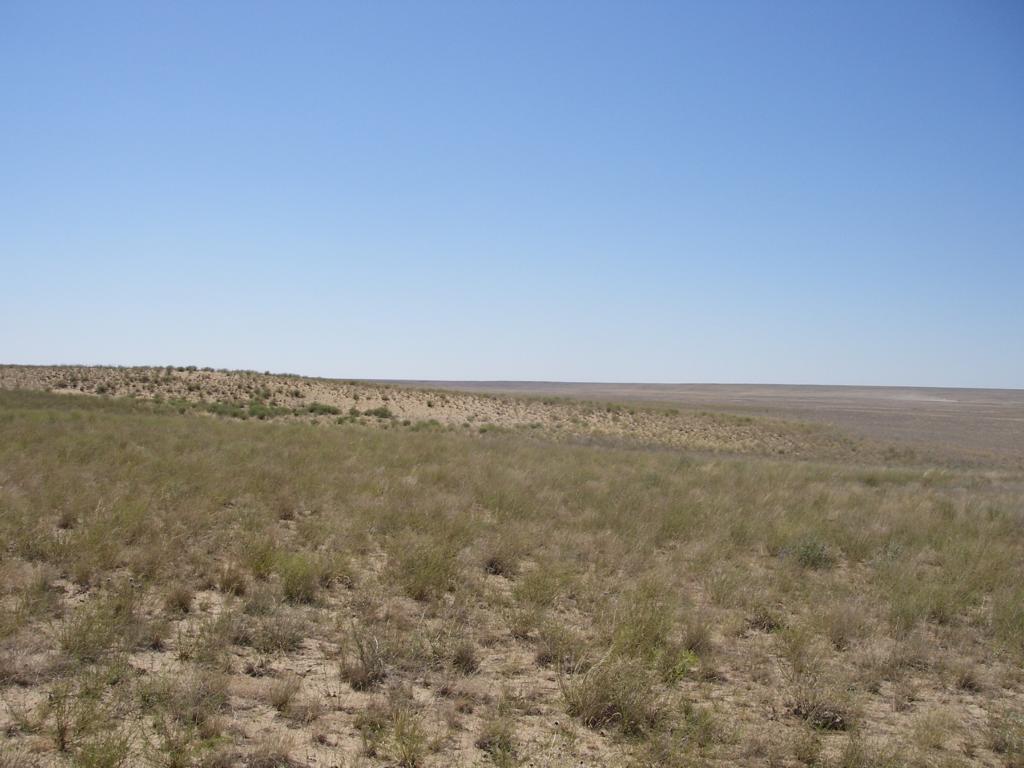 Зимовка Таскора, image of landscape/habitat.