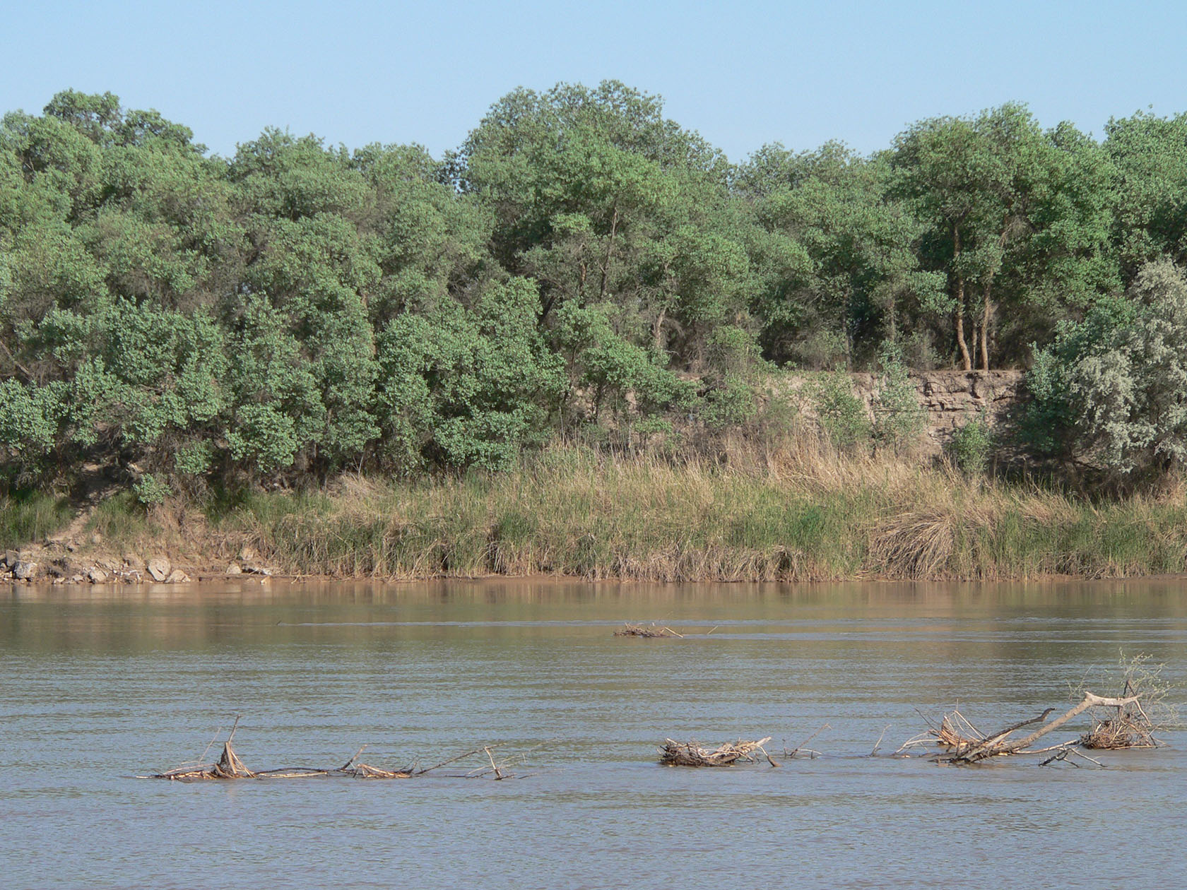 Полвонтугай, image of landscape/habitat.