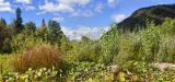 Image of landscape