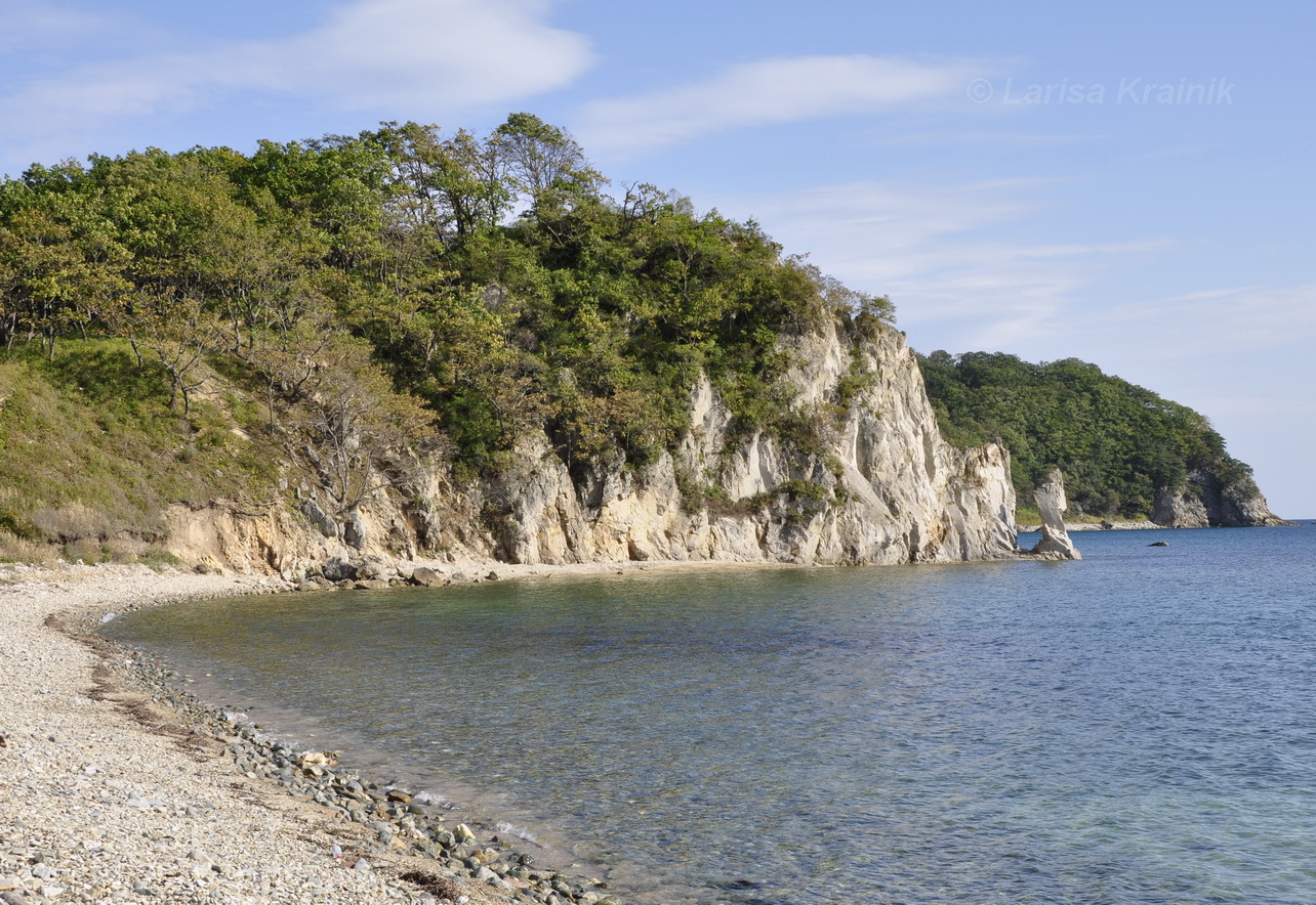 Мыс Сосновый и кекуры Бакланьи, image of landscape/habitat.