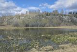 Спасская гора и её окрестности, image of landscape/habitat.
